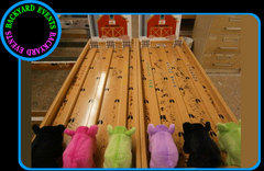 Pig Race $199.00 DISCOUNTED PRICES Pig Race $199.00 DISCOUNTED PRICES